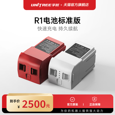 宇树UnitreeR1专用电池充电器