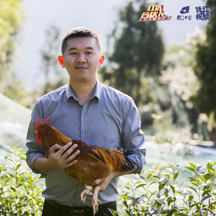 【泰顺】跑步鸡,跑满100万步才出栏 (生鲜礼盒)1.5Kg