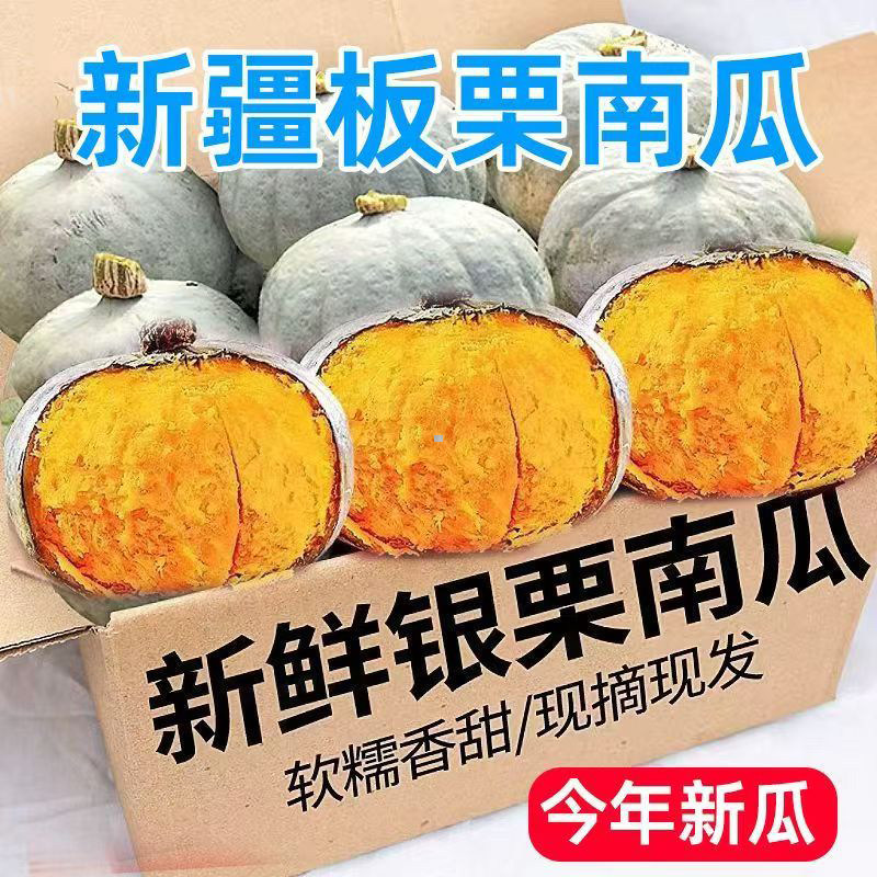 新疆银栗南瓜香甜粉糯板栗金丝老南瓜孕妇宝宝辅食新鲜贝贝小南瓜