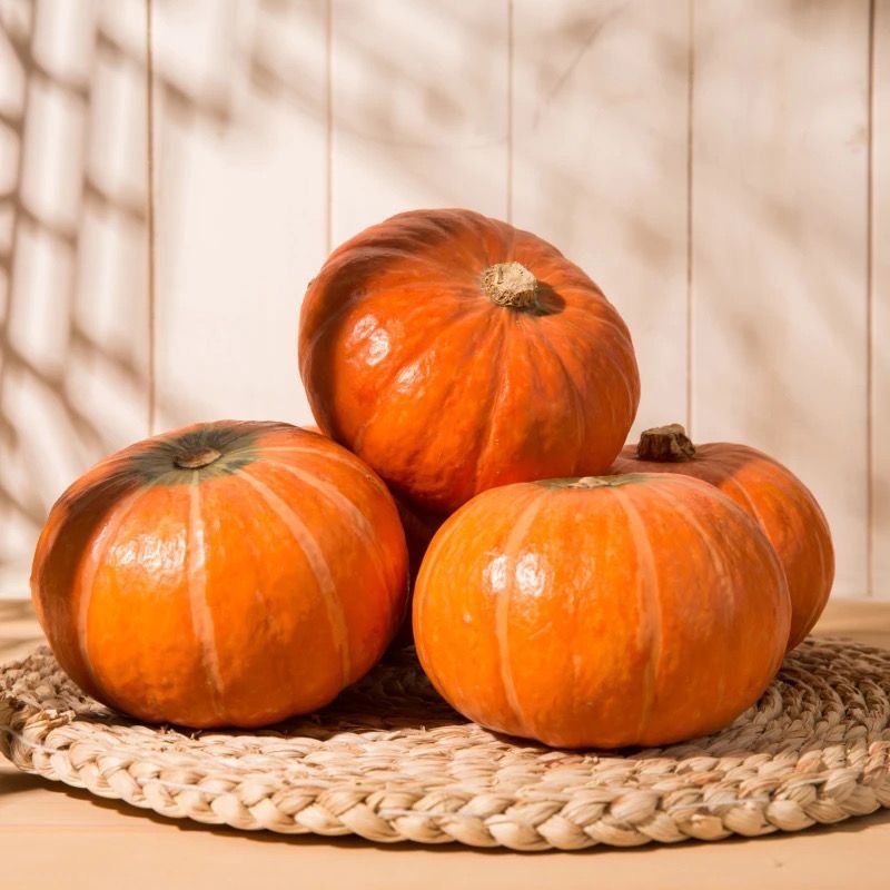 5斤装万圣节红皮南瓜软糯香甜板栗味婴儿辅食