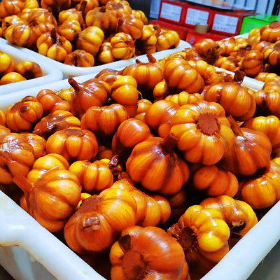 9斤 新疆伊犁哈尔毕糖醋蒜腌蒜瓣红蒜头开袋即食下饭菜咸榨菜凯比