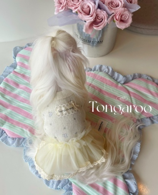 TG26-4夏季新品*奶杏蕾丝纱裙*宠物裙子