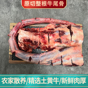 5斤新鲜整根牛尾巴4斤新鲜牛尾骨整条黄牛尾正宗农家散养顺丰包邮