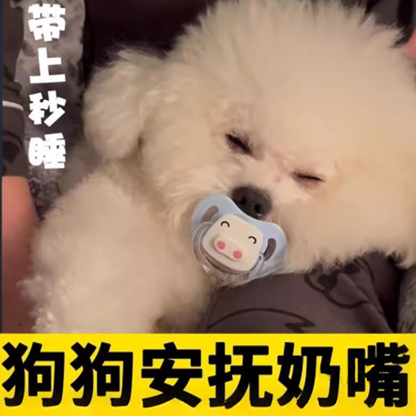 狗狗奶嘴磨牙耐咬玩具安抚图片