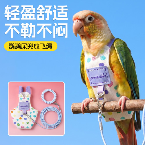 鹦鹉兜屎尿不湿一次性牵引绳便兜