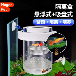 孵化隔离密网鱼缸隔离盒孔雀鱼繁殖隔离网产卵孵化专用胎生鱼苗
