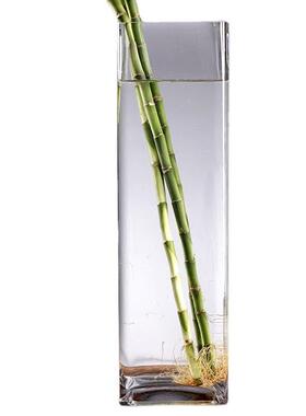 欧式大号玻璃透明50cm方形高60厘米插花银柳竹子水竹竹子方口花瓶