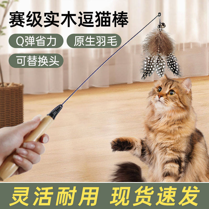 猫玩具CFA赛级逗猫棒幼猫斑点羽毛替换头耐咬猫用品猫咪玩具大全