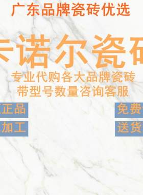 卡诺尔瓷砖广东佛山00柔光素色微