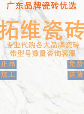 拓维瓷砖柔光肌肤釉连纹通体大