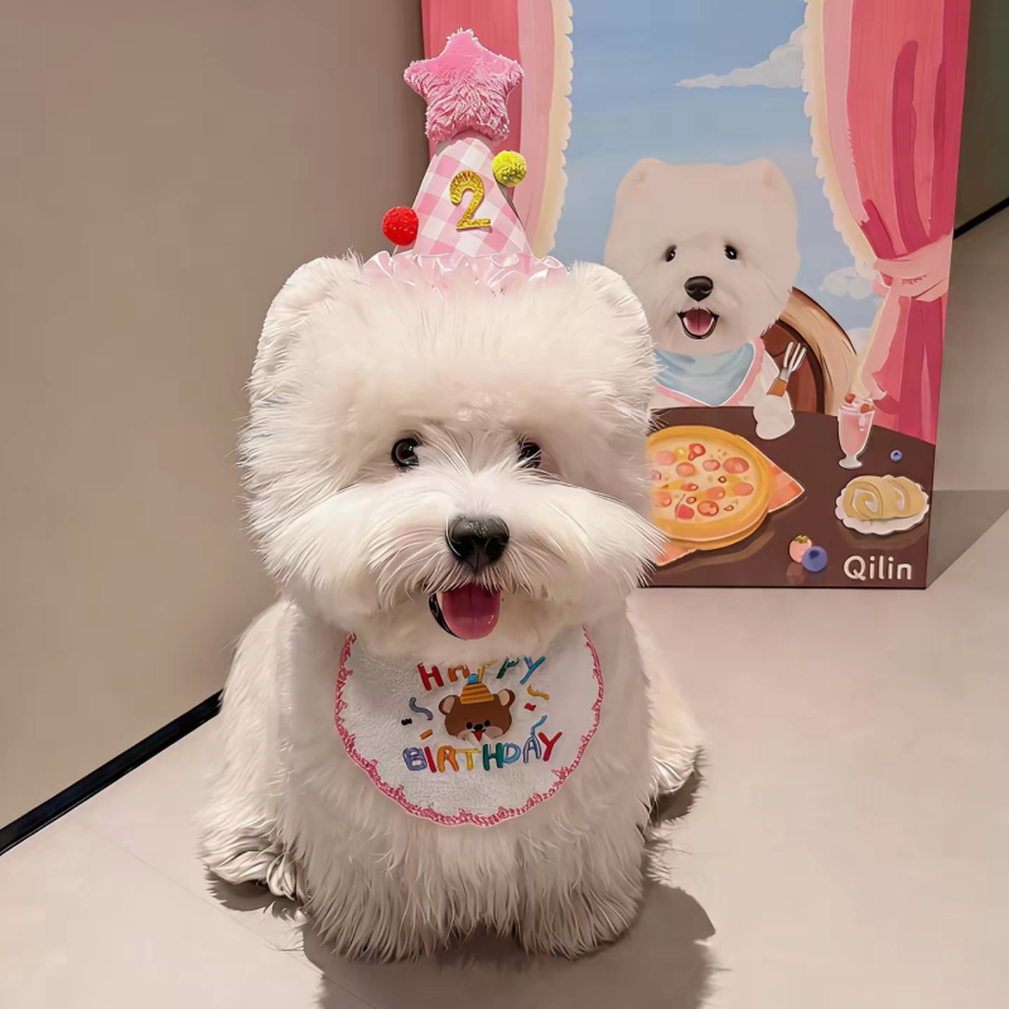 小狗生日帽狗狗口水巾围脖围兜猫咪生日装扮头饰可爱装扮拍照道具