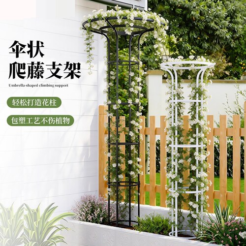 金银花爬藤架伞形花架子攀爬支架月季爬藤架园艺阳台户外庭院支撑