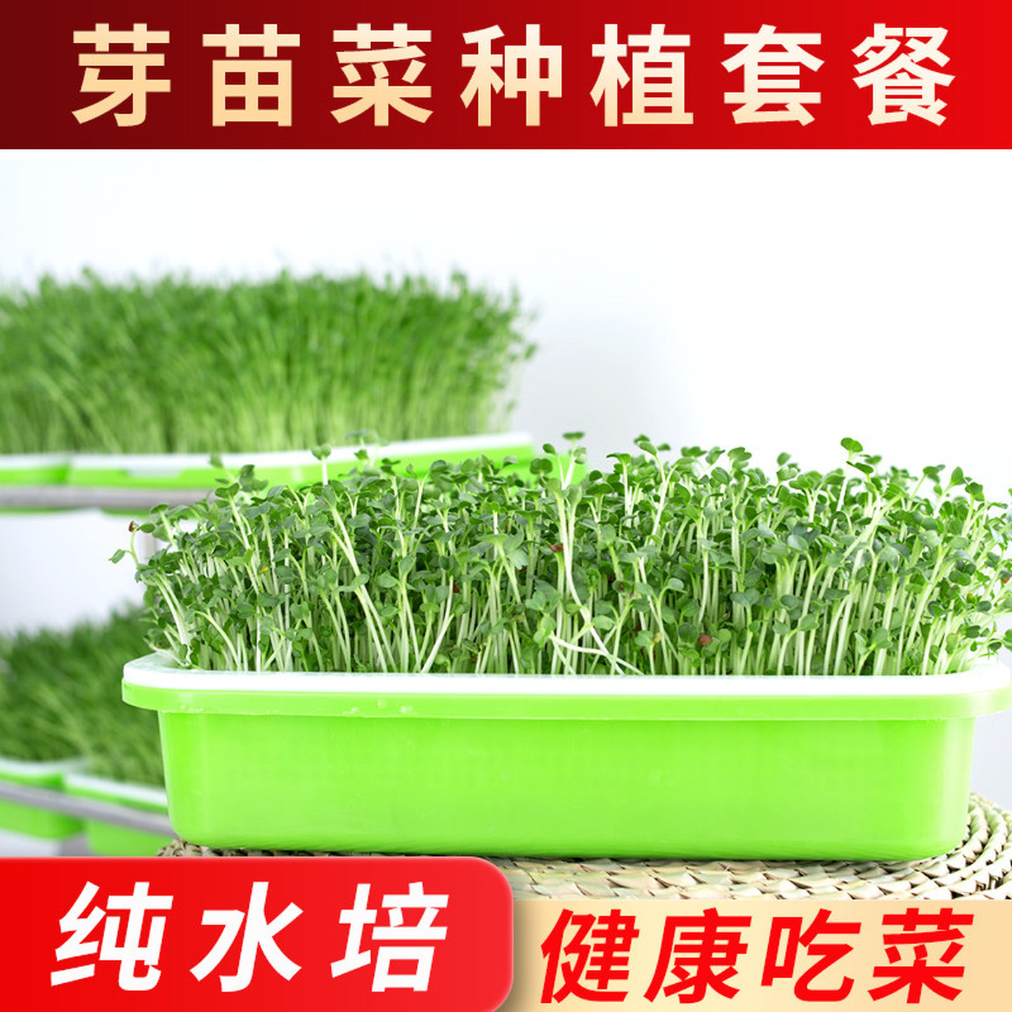 豆芽发芽盆家用无土栽培蔬菜水培豌豆苗种植架托家用芽苗菜育苗盘
