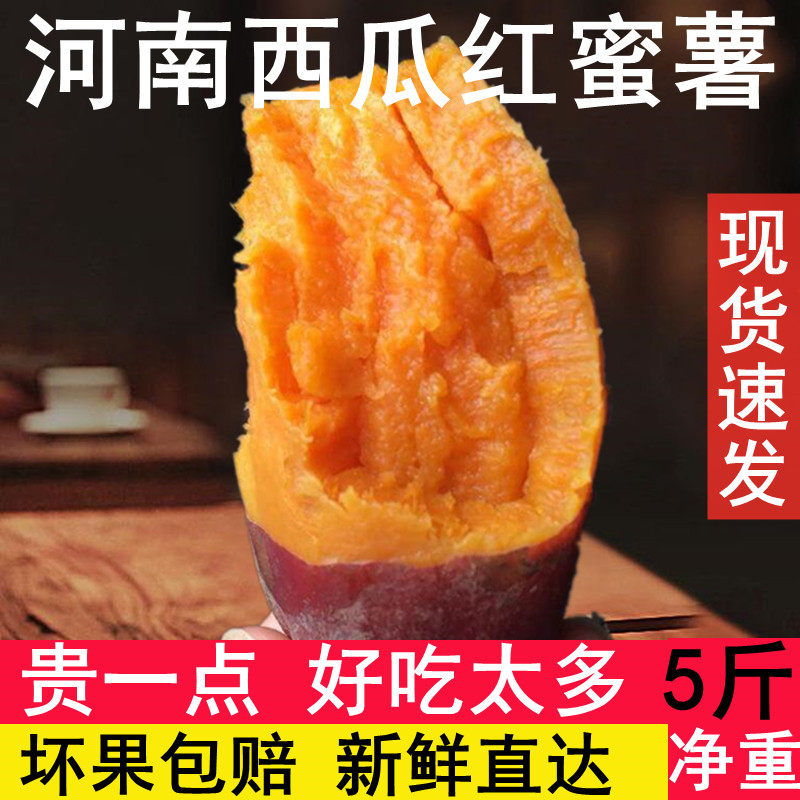 绿印剑取架球周日夜市番薯地瓜西红薯六鳌红蜜薯河南新鲜农家