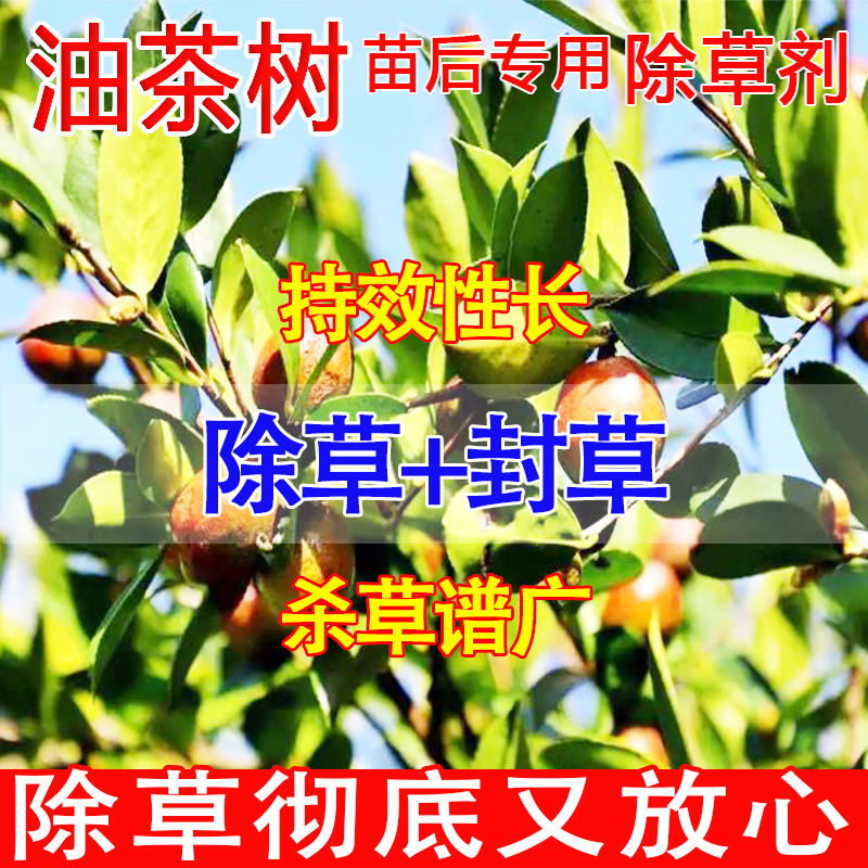 油茶除草剂果园除草专用剂油茶苗后除草专用剂农药大全烂根除草