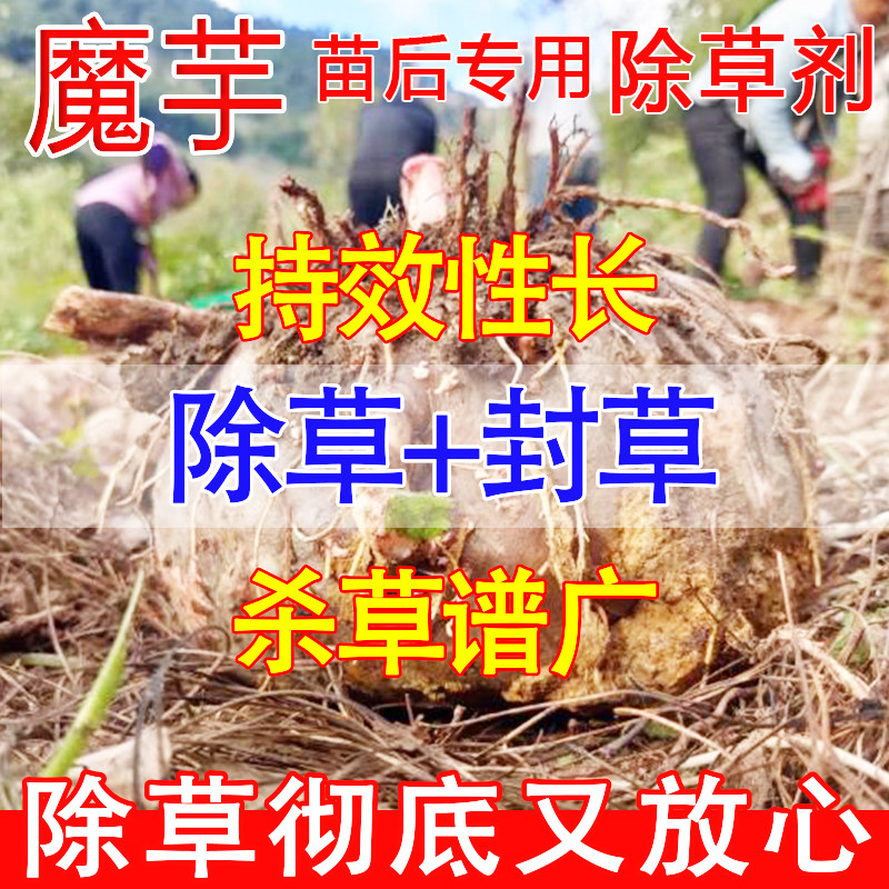 魔芋除草剂菜地除草专用剂安全不伤苗芋头苗后除草济牛筋草除草剂