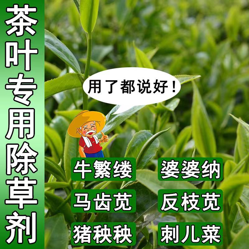 茶叶专用农药除草香付子除草牛筋草除草根剂茶园除草神器除草济