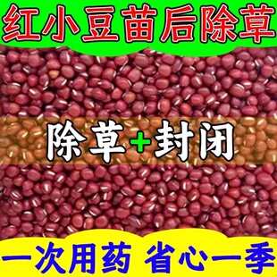 红小豆除草剂红豆专用除草剂红豆除草烂根剂强力灭草药杂草一扫光