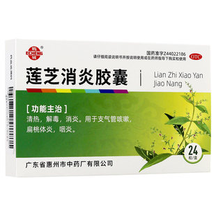 鹅城 莲芝消炎胶囊