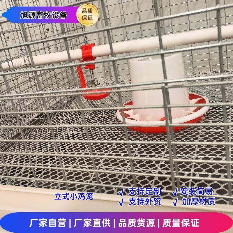 四层两门小鸡笼育雏笼加粗加密镀锌防锈笼网育雏笼,畜牧/养殖物资,特种养殖设备,淘宝优惠券,粉丝福利购,淘宝优惠卷