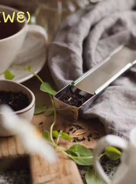 瑞典Drosselmeyer泡茶器便携工艺设计不滴水易清洁不锈钢金色