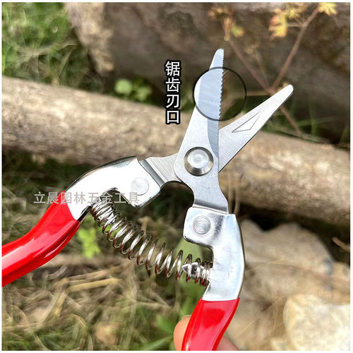稀果剪蔬果摘果剪剪果专用剪子柑橘葡萄火龙果剪花椒剪园艺修枝剪
