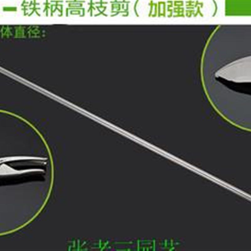 德国高枝剪修剪树枝专用剪刀伸缩加长杆园艺果树高空剪枝长柄摘果图片