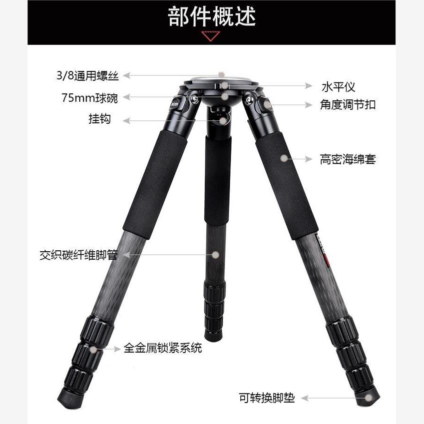 赤道仪碳纤维三脚架信达
