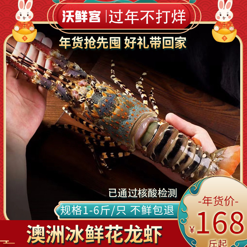 澳洲花龙虾鲜活海鲜水产超特大冰鲜青龙虾海捕锦绣大龙虾中秋送礼
