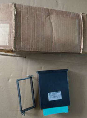 IRION & VOSSELER 205786-01 控制器