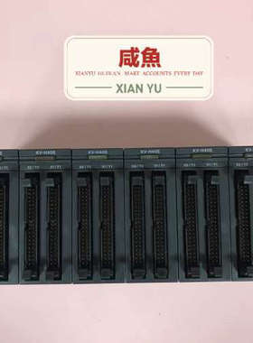 PLCKEYENCE模块 KV-H40S