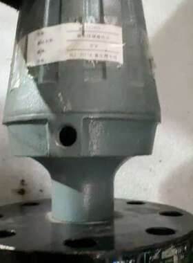 磁性浮球液位计 BNC  BCL J31  4  250°C