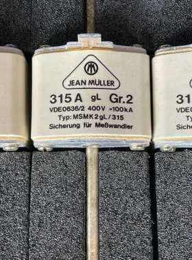 JEAN MULLER熔断器315A MSNK2gL/315