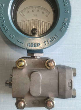 变送器 电容式变送器  DP5E22M1B