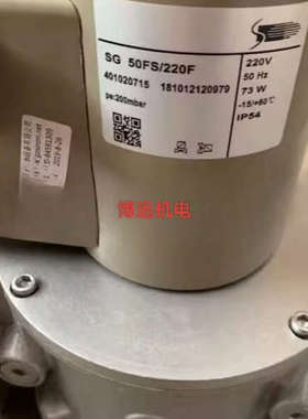 SG50FS/220施能慢开电磁阀SG65FS/220