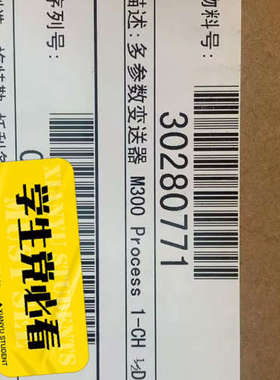 30280771 梅特勒托利多M300变送器   302