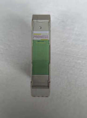 PROMESS以太网模块 Ethernetmodul SP