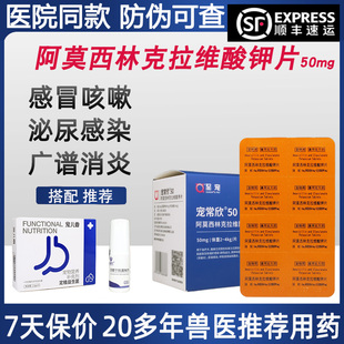 宠物用阿莫西林克拉维酸钾片50mg犬狗猫咪鼻支感冒感染口服消炎药