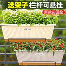 新款 阳台种菜专用盆长方形塑料花盆草莓盆栽种葱长条种植箱家用