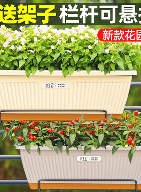 新款阳台种菜专用盆长方形塑料花盆草莓盆栽种葱长条种植箱家用