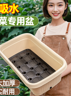 种菜专用盆自吸水家用阳台种菜盆加大加厚长方形塑料蔬菜种植花盆