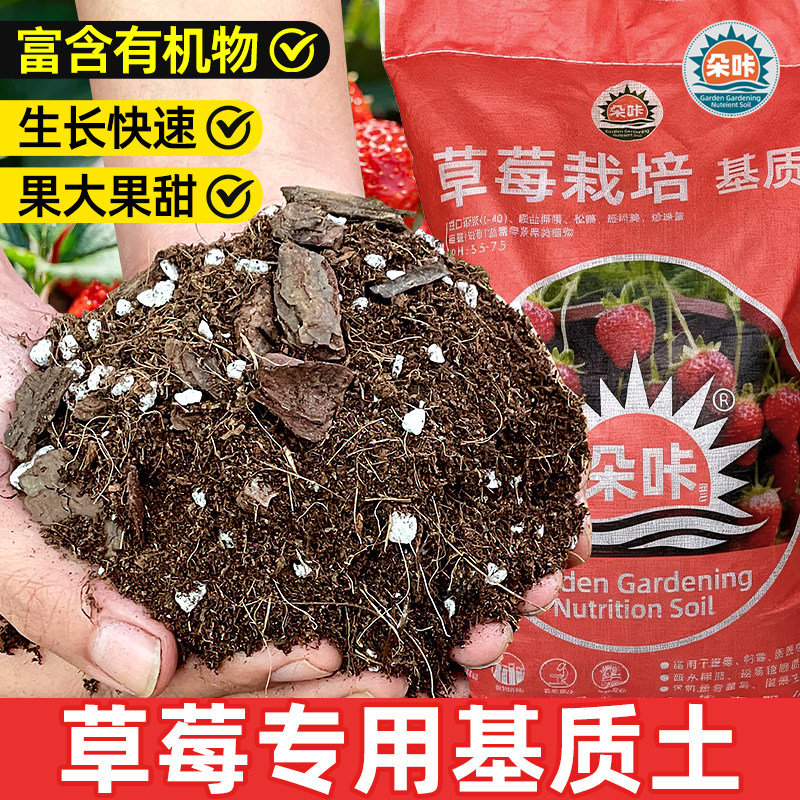 草莓专用营养土盆栽种植土草莓基质土泥土育苗土阳台肥料多肉蔬菜