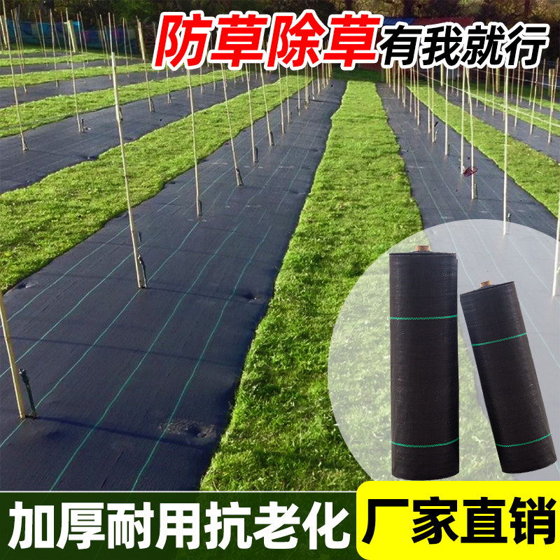 防草布除草布耐用地布农用果园果树遮草抑草盖草布抗老化透气透水,鲜花速递/花卉仿真/绿植园艺,其它园艺用品,淘宝优惠券,粉丝福利购,淘宝优惠卷