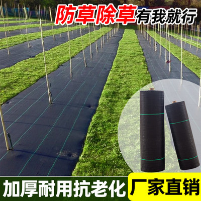 防草布除草布耐用地布农用果园果树遮草抑草盖草布抗老化透气透水