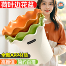 荷叶边花盆树脂家用加厚塑料室内阳台高颜值百合波浪边盆