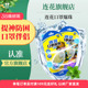 以岭连花强力口罩爆珠伴侣莲花薄荷珠清新空气清凉解闷100粒