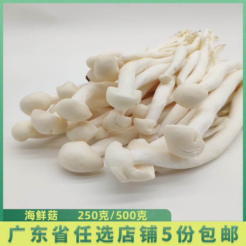新鲜菇 菌 蔬菜 海鲜菇 蟹味菇 白玉菇 蘑菇 食用菌菇 火锅配菜