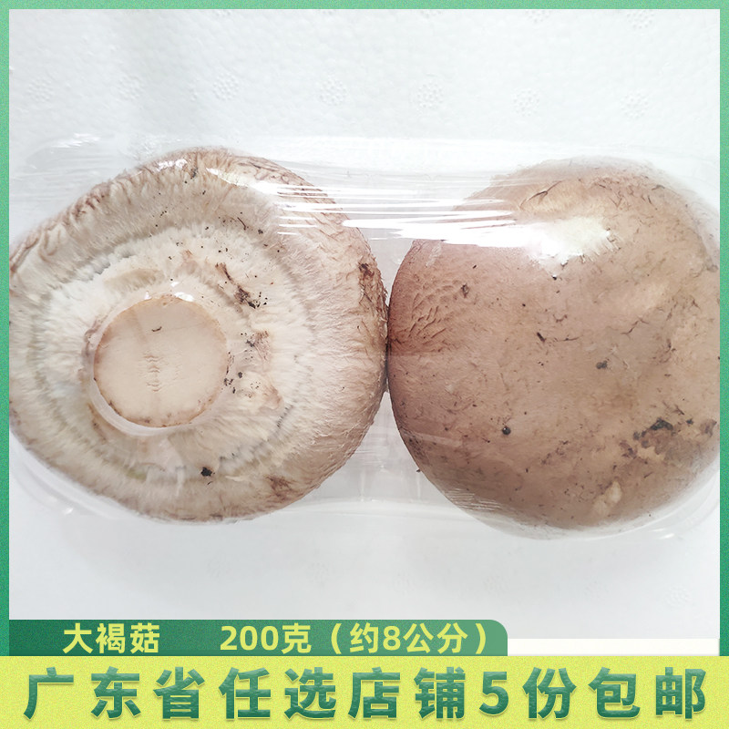 新鲜1斤 褐菇  "牛排菇"  珍宝菇 波多黎各菌 贵啡菇 香啡菇大菇