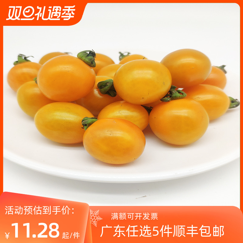 新鲜黄圣女茄小番茄樱桃黄小番茄 1斤黄番茄黄色茄西红柿生吃