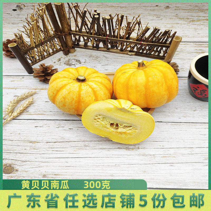 新鲜贝贝果 太阳果 贝贝南瓜 迷你小南瓜 太阳瓜 金桔南瓜 250克